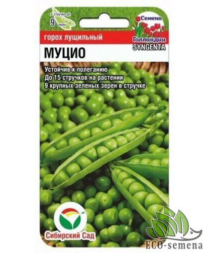 Горох сахарный Муцио Syngenta 4 г