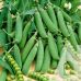 Горох Скинадо Syngenta/Нидерланды 20 г