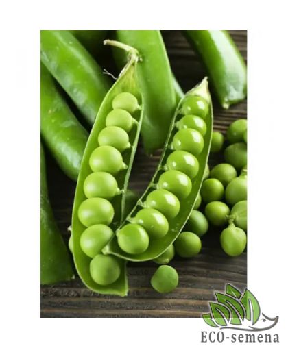 Горох Чудо Кельведона (раннеспелый) 20 г