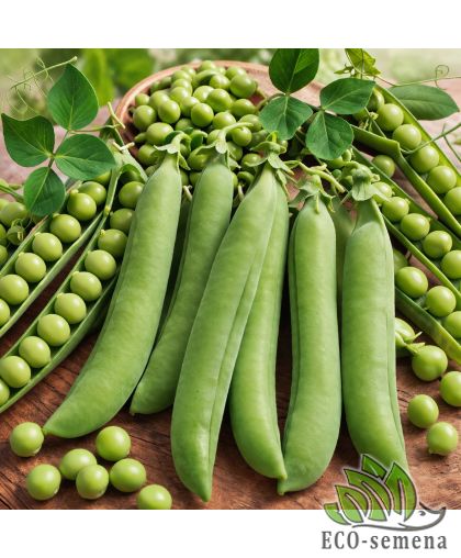 Горох Детский сахарный (раннеспелый) 50 г