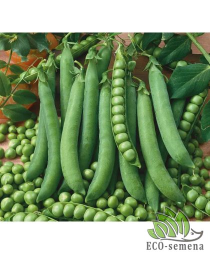 Горох сахарный Оскар (раннеспелый) 20 г