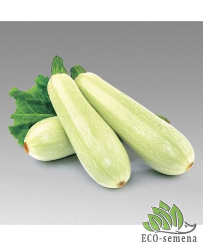 Кабачок Кавили F1 Nunhems/Нидерланды 5 шт