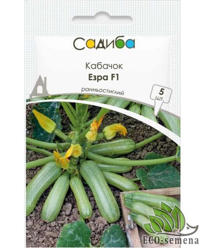 Кабачок цуккини Эзра F1 Hazera/Нидерланды 5 шт