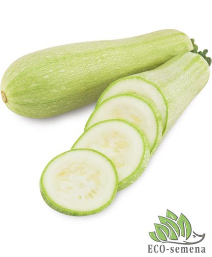 Кабачок Рана F1 GSN-Semences/Франция 10 шт