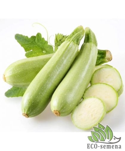 Кабачок Супер Дония F1 Clause/Франция 5 шт