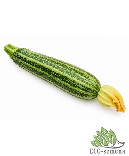 Кабачок Зебра (раннеспелый) 20 г