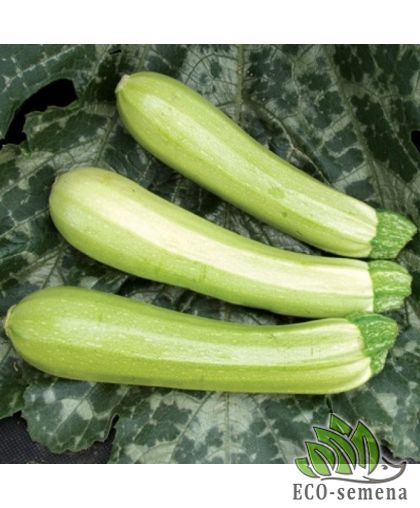 Кабачок Итальянский лебедь (раннеспелый) 20 г