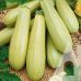 Кабачок Аспирант (раннеспелый) Садыба центр 10 г