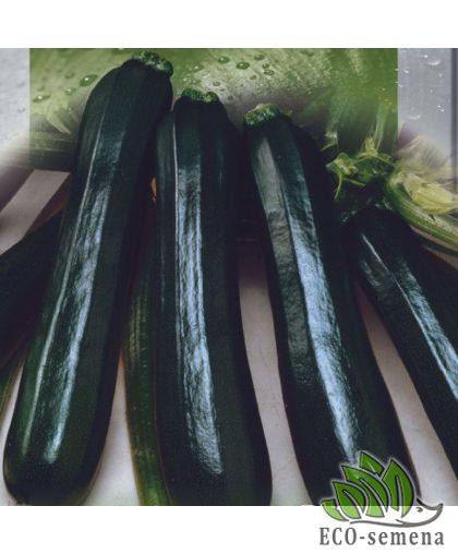Кабачок Оникс (кустовой) 20 г