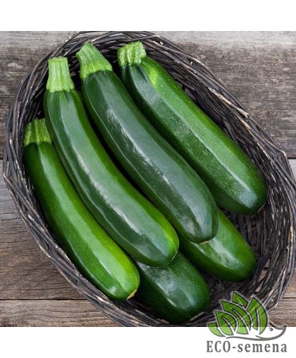 Кабачок цуккини Аэронавт (раннеспелый) 20 г