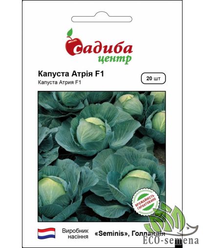 Семена Капуста белокачанная Атрия F1 20 шт