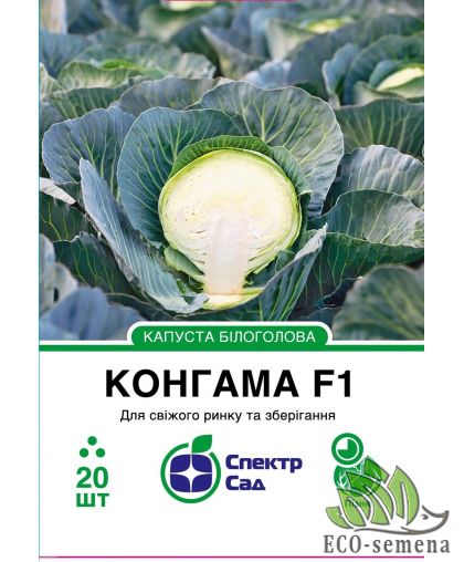 Капуста белокачанная Конгама F1 Rijk Zwaan/Нидерланды 20 шт