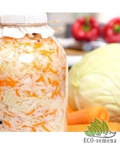 Капуста белокачанная Квашенка 0.5 г (zip-paket)