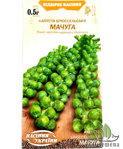 Семена Капуста брюссельская Мачуга поздняя Семена Украины 0.5 г