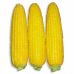 Кукуруза сахарная Добрыня F1 Lark Seeds/США 10 г