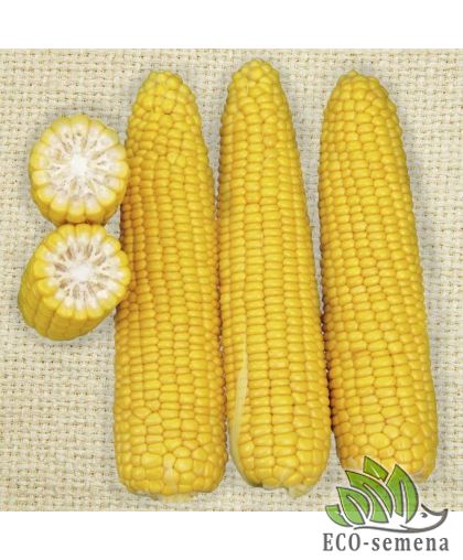 Кукуруза сахарная Добрыня F1 Lark Seeds/США 10 г