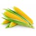 Кукуруза сахарная Вега F1 GL Seeds 20 г Кукуруза сахарная Вега F1 GL Seeds 20 г