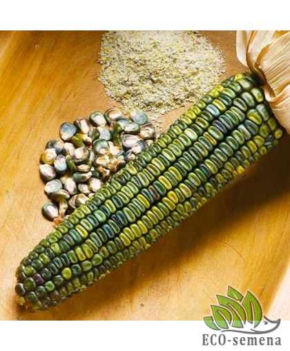 Кукуруза сахарная Зеленый фургон (zip-paket) 10 г