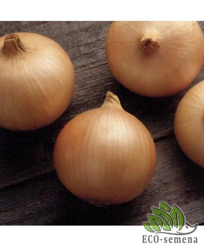 Лук Кенди F1 Seminis/Нидерланды 200 шт Лук Кенди F1 Seminis/Нидерланды 200 шт