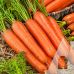 Морковь Натофи Традиция 10 г Морковь Натофи Традиция 10 г