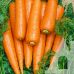 Морковь Карлена Satimex 10 г Морковь Карлена Satimex 10 г