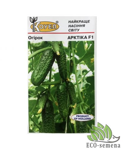 Огурец Арктика F1 Голландия 50 шт Огурец Арктика F1 Голландия 50 шт