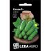 Огурец Солон F1 50 шт Yuksel Seeds Турция