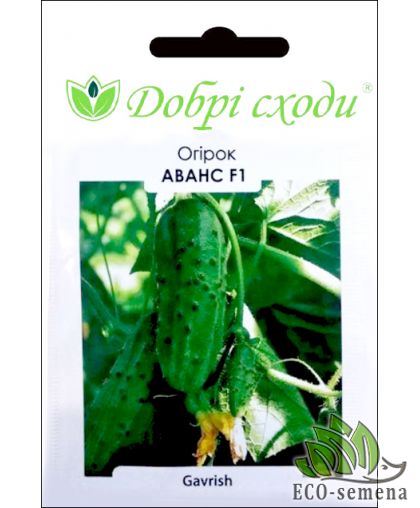 Огурец Аванс F1 10 сем Огурец Аванс F1 10 сем