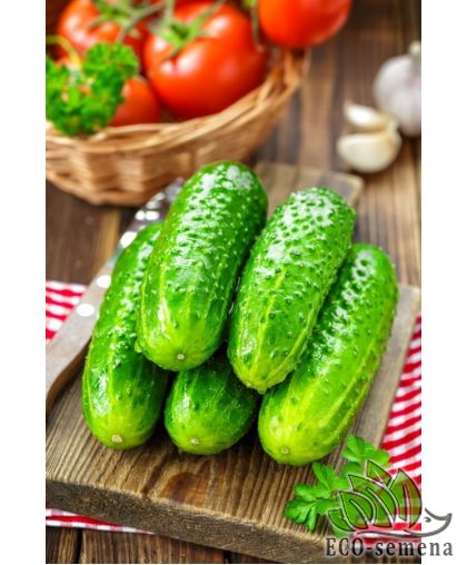 Огурец Ивонна F1 Semo/Чехия 20 шт (zip-paket) Огурец Ивонна F1 Semo/Чехия 20 шт (zip-paket)