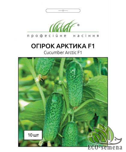 Огурец Арктика F1 NongWoo Bio/Корея 10 шт Огурец Арктика F1 NongWoo Bio/Корея 10 шт