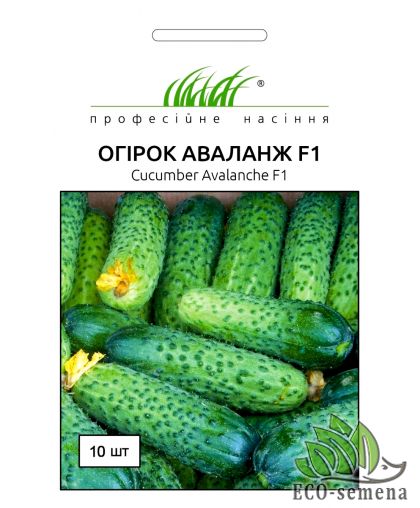 Огурец Аваланж F1 NongWoo Bio 10 шт Огурец Аваланж F1 NongWoo Bio 10 шт