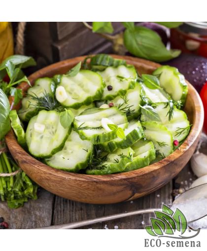 Огурец Салим F1 для вкусного салата Nong Woo Bio/Южная Корея 10 шт Огурец Салим F1 для вкусного салата Nong Woo Bio/Южная Корея 10 шт