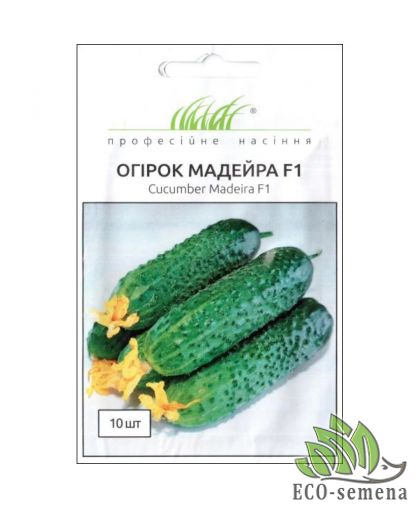 Огурец Мадейра F1 Seminis/Нидерланды 10 шт Огурец Мадейра F1 Seminis/Нидерланды 10 шт