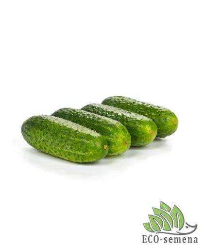 Огурец Бридж F1 Rijk Zwaan/Нидерланды 10 шт Огурец Бридж F1 Rijk Zwaan/Нидерланды 10 шт