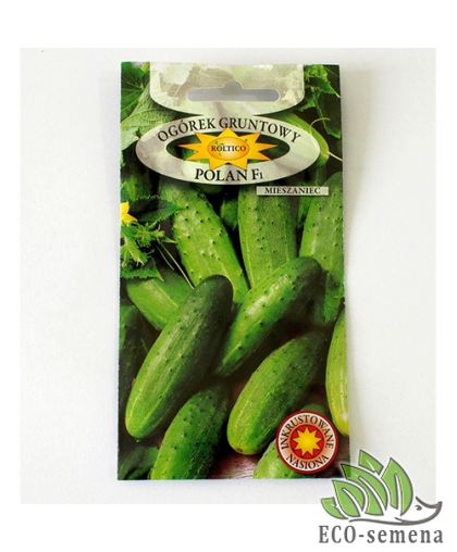 Огурец Полан F1 Roltico Польша 5 г