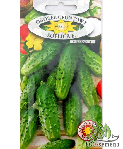 Огурец Соплица F1 Roltico Польша 5 г Огурец Соплица F1 Roltico Польша 5 г