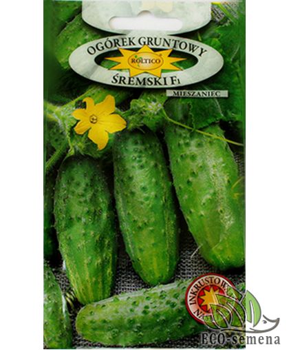 Огурец Сремский F1 Roltico Польша 5 г