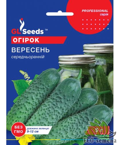 Огурец Вересень (среднеранний) GL Seeds 5 г Огурец Вересень (среднеранний) GL Seeds 5 г
