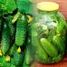 Огурец Предгорный виноград (раннеспелый)  5 г