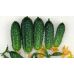  Огурец Ранняя пташка (самоопыляемый) 5 г 