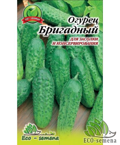 Огурец Бригадный 1 г
