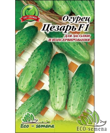 Огурец Цезарь F1 1 г Огурец Цезарь F1 1 г
