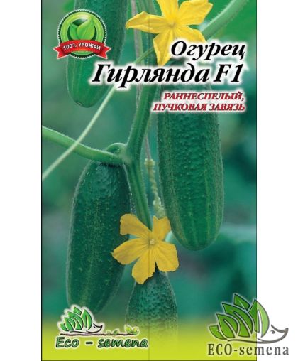 Огурец Гирлянда F1, 1 г Огурец Гирлянда F1, 1 г