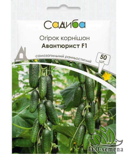 Огурец Авантюрист F1 Satimex/Германия 50 шт