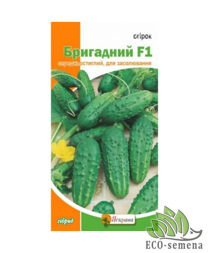 Огурец Бригадный F1 0,5 г