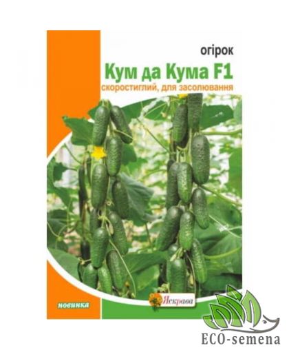 Семена огурец Кум да кума F1 (пучковой) Яскрава 0,5 г