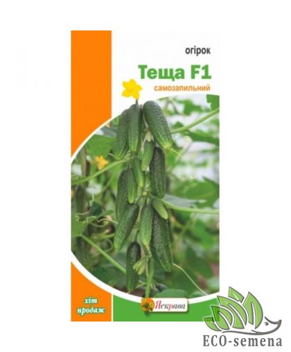 Семена огурца Теща F1 (самоопыляемый) Яскрава 0,3 г Семена огурца Теща F1 (самоопыляемый) Яскрава 0,3 г