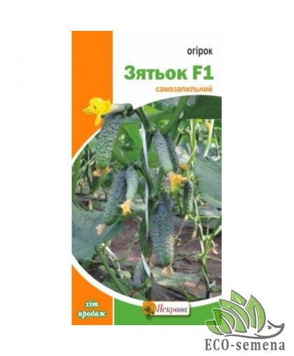 Огурец Зятек F1 (самоопыляемый) 10 шт Огурец Зятек F1 (самоопыляемый) 10 шт
