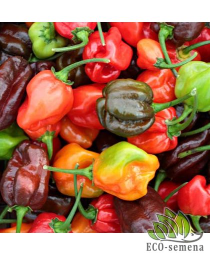 Перец горький Хабаньеро смесь 5 шт Перец горький Хабаньеро смесь 5 шт