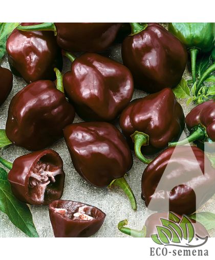 Перец острый Хабанеро шоколадный Satimex/Германия 8 шт